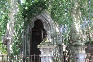 Les hêtres pleureurs de Rosult caressent la chapelle St Roch