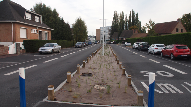 Une avenue avec des fossés naturels en guise de terre-pleins