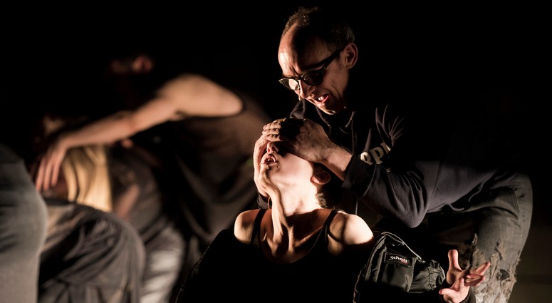 Grensgeval / Borderline de Guy Cassiers