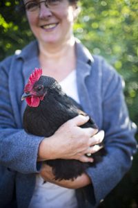 A backyard chicken coop in Austin, Texas. Backyard coops are growing in popularity throughout the country as people are wanting to source their food locally.