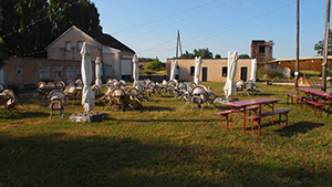 Le bar d'été